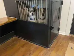 Pet Friendly! Home in Brandon SW - Image 3