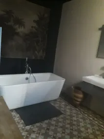Ideal for Avignon festival Magnificent Mas with swimming pool and jacuzzi - Image 2