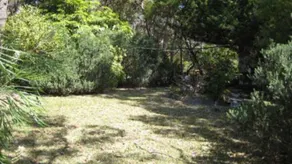 Wyvern Cres Beach House - Image 1