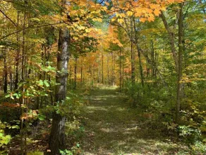 Enjoy over 50 acres of Nature - Image 4