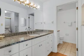 Beach Palms 408 - Image 2