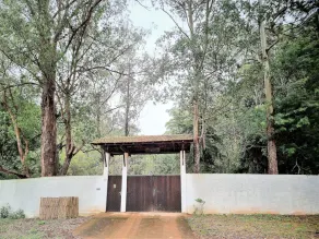 Ecological paradise on a farm 100km from Rio in the middle of the Atlantic Forest reserves - Image 3