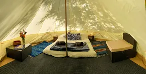 Glamping in the Redwoods, with hot tub! The Knoll - Image 2