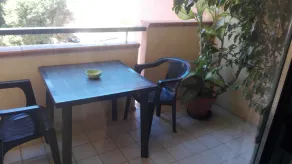 Agave - Image 5