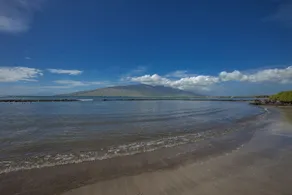 Kihei Bay Surf # 144 Tropical Hawaiian Style Condo, Beachy Tema, 3 sovepladser - Image 4