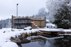 The forester's lodge - historic farm with sauna & pond in the middle of a forest clearing - Image 2