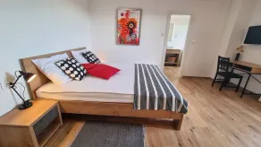 Amazing New Home in the Heart of Istria - Image 4
