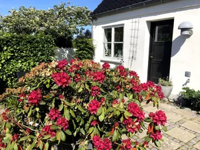 Helts B&B - Helts Guesthouse - Image 3