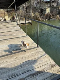 The Crappie House- Lake Palo Pinto Waterfront Cabin- Private Dock & Boathouse - Image 3