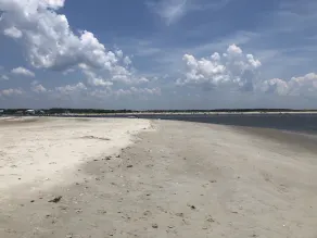Coast Awhile in Ocean Isle Beach - Image 5