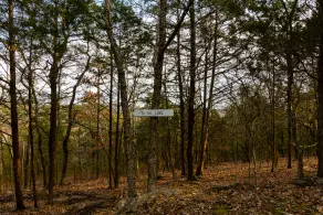 Secluded Getaway featuring Walking Trail to the Lake, Free Tickets & Minutes from Silver Dollar City - Image 2
