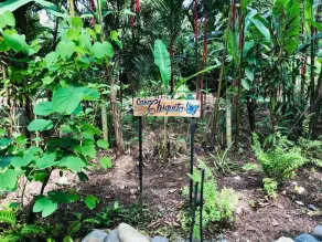 Casa Chiquita - Image 5