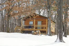 Buck Cabin is a Fully Furnished Lake Side Cabin on Rend Lake Comfortable for all - Image 5
