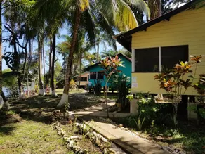 Tropical Jungle Paradise - Image 4