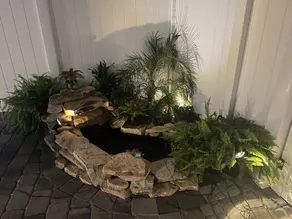 The Tiny Cottage in the Springs/ Central FL - Image 3
