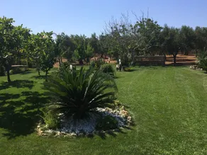 \"VILLA ARGENTI\" - VILLA AVEC PISCINE ENTRE MER ET CAMPAGNE À SALENTO - Image 3