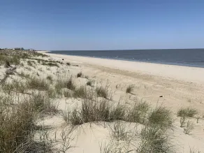 Serene Bay View, Steps to Broadkill Beach Relax and make memories for the books! - Image 4