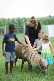 Welcome to our farm and guest house in Amish Country! - Image 2