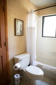 Gorgeous views and two decks! Large open cabin, short walk to lodge - Sleeps 14 - Image 5