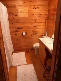 Cozy Cabin with Fireplace, 2 Bedrooms & 2 Queen Size Couch Beds! - Image 3