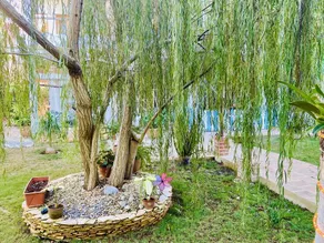 Casamigos - Image 3