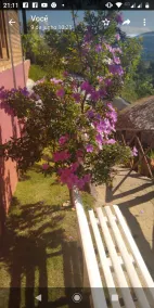 Rustic house with a breathtaking view of the Pedra da Mulher (Woman's Stone). - Image 4