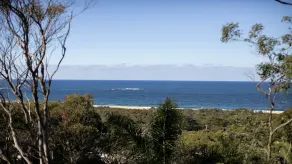 Stunning Beaches, Bays, Wildlife & Bush walks - Image 4