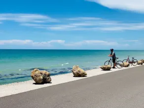 Bayshore Beach House - Walk to Nokomis Beach!  Close to Siesta Key, Venice Beach - Image 4