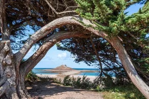 Belle demeure de pierre au calme à Erquy - Image 3