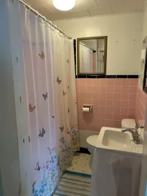 Cozy Lakefront Cottage - Image 2