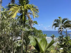 Monolocale in giardino tropicale, vista unica, molto vicino alla spiaggia - Image 4