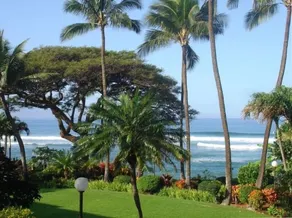 $ 125 / maj Salg Aloha Hale Ocean View Maui Condo Remodeled I Ocean Front Complex - Image 4