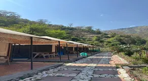 Aquatic resort - Image 3