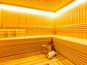 Luxurious Holiday Home in Niedernsill with Sauna - Image 2