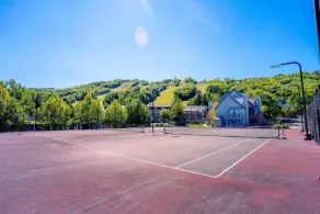 Blue Heart Mountain Studio Dream Walk to slopes, tennis - Image 3