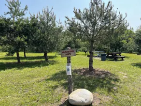 camping on private property, feet from river, peaceful setting, lots of nature - Image 5