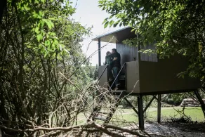 Glamping is unforgettable experience for nature lovers. - Image 5