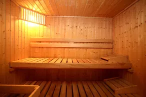 SARLAT, charmerende hus, opvarmet privat swimmingpool, jacuzzi, sauna, have, wifi - Image 3