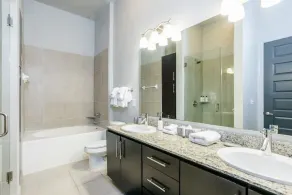 Rose at the Millennium - Stylish 1 BR in Houston - Image 2