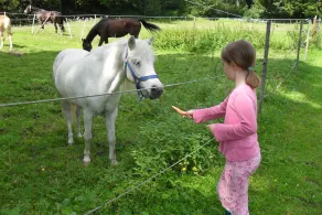 Ideel til naturelskere, familier og hundeejere - Image 5