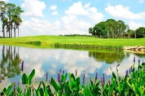 🌴 Orange Lake Resort ✨ Experience Paradise in a 2BR Villa - Sleeps 8! - Image 2
