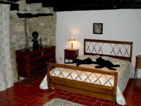 Fuld natur, Aveyron Valley, smukt Aveyron hus - Image 4