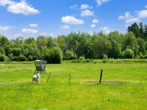 Cottage in Dwingelderveld with Scenic Views - Image 2