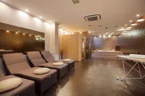 Large outdoor with privacy, Heated pool 60m2 , Gamesroom ,Wellness, Garden - Image 3
