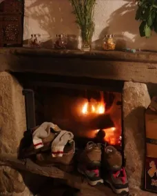 Le Gîte des Forêts Enchantés - Image 2