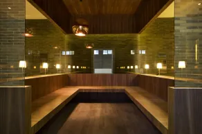 parotia waterhouse hotel - Image 2