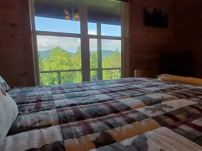 Private Cabin • Hot Tub • 2 Kings - Image 5