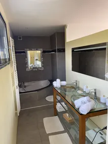 Design villa with panoramic pond view and jacuzzi - Image 2