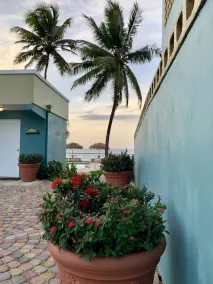 Escape to Beach Paradise & Light House - Das Beste für Familien - Großartig für Veranstaltungen - Image 4