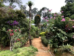 Flower Valley Plantation Homestay - Image 3